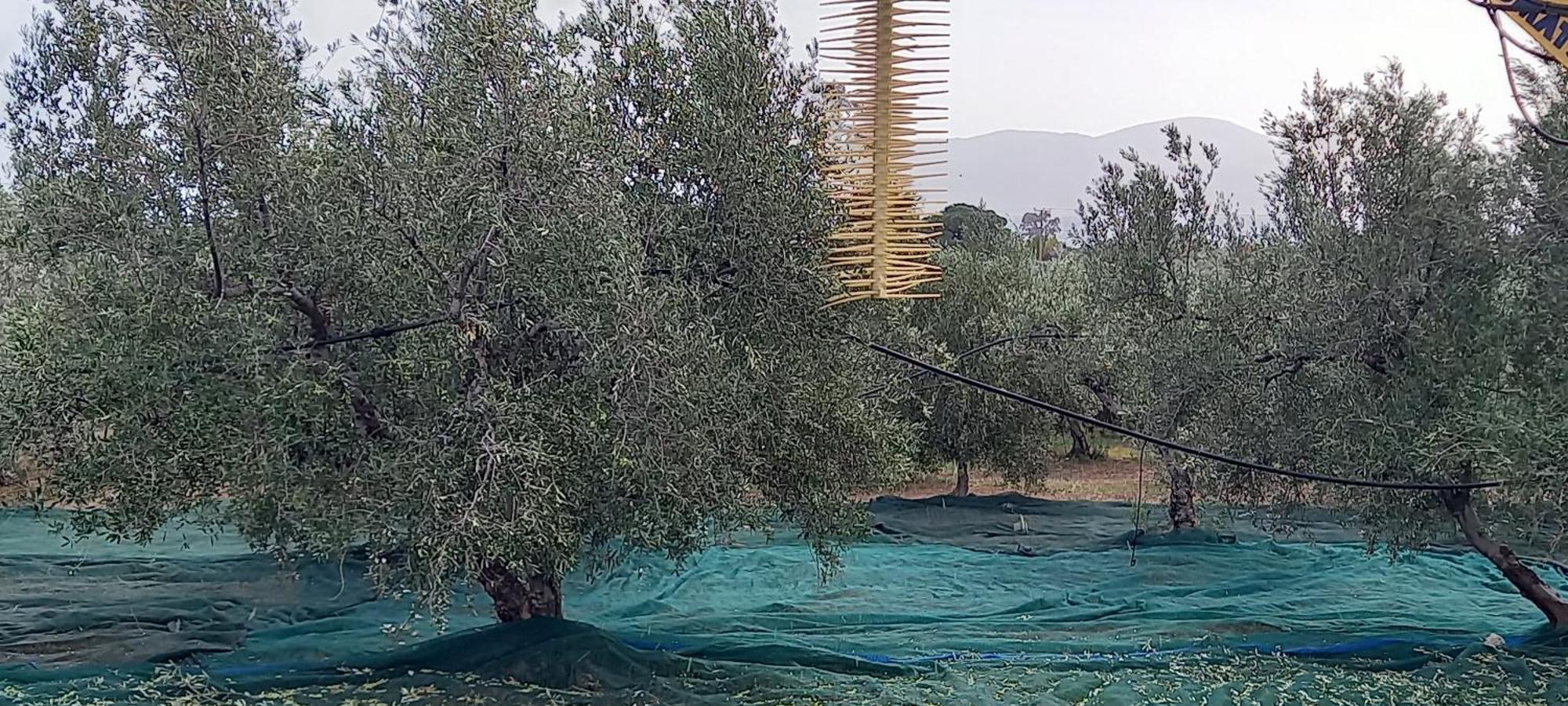 Apartament Ktima Develekou Pigadhia  Zewnętrze zdjęcie
